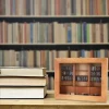 Angstdæmpende Bogreol med 200 Bøger Miniaturebibliotek Træbogreol Ryst Din Angst Væk A
