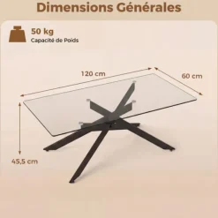 COSTWAY Glasbord i hærdet glas, 120x60x45,5 cm rektangulært sofabord, metalrørfødder, sort sofabord Gennemsigtig og sort