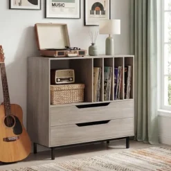 COSTWAY Opbevaringsstand til Vinylplader med 2 Skuffer, 5 Rum, 4 Hylder, til Stuen, Musikrum Grå