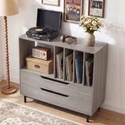 COSTWAY Opbevaringsstand til Vinylplader med 2 Skuffer, 5 Rum, 4 Hylder, til Stuen, Musikrum Grå