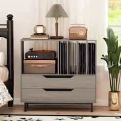 COSTWAY Opbevaringsstand til Vinylplader med 2 Skuffer, 5 Rum, 4 Hylder, til Stuen, Musikrum Grå