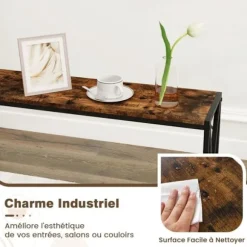COSTWAY Smal Konsolbord i 2 Niveauer, Industriel Stil, Metalramme til Gang, Stue, Foyer, Rustik Brun