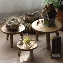 Mini Rund Træskammel Kort Træskammel til Planter Mini Træskammel Display til Hjem Terrasse