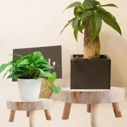 (pow yeah!) Mini Træskammel Display Plantestativ Dekorativt Træ Plantestativ Bonsaiholder til Indendørs Udendørs Hjem Have C