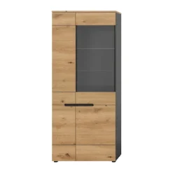 Rootz Display Cabinet - Showcase - Udstillingssag - Stilfuld glaspræsentation - 190x80x37 cm - Elegant Artisan Replica