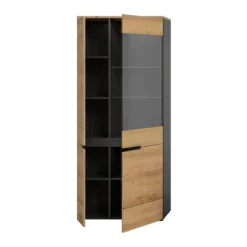 Rootz Display Cabinet - Showcase - Udstillingssag - Stilfuld glaspræsentation - 190x80x37 cm - Elegant Artisan Replica