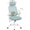 Rootz Ergonomic Office Chair - Lumbar Support - Justerbar skrivebordsformand - Åndbar net - 63,5 x 109,5-117,5 x 50 cm