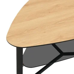 Rootz Modern sofabord - Retro nyreform - Stilfulde store sofaborde - Brunt udseende - Rigelig opbevaring - 110 cm x 65 cm x 45 cm