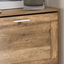 SoBuy brun skoskab med 2 døre 23.01x59.99x78.99cm, vintage FSR137-F