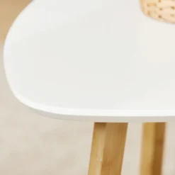 SoBuy hvid sæt med 2 sofaborde 56x55x45cm, moderne FBT74-W
