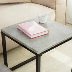 SoBuy lysegrå sæt med 2 sofaborde 50x50x50cm, industriel FBT42-HG