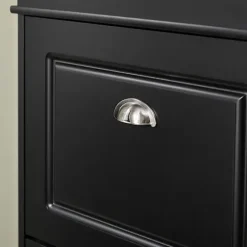 SoBuy sort skoskab med 3 døre 24x53.01x116.99cm, moderne FSR94-SCH