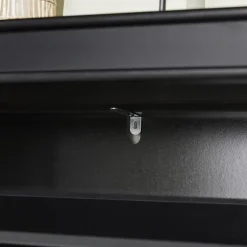 SoBuy sort skoskab med 3 døre 24x53.01x116.99cm, moderne FSR94-SCH