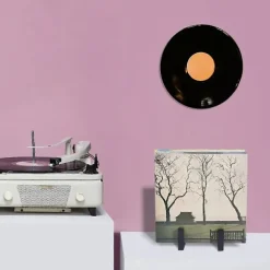 Vinylplade Opbevaringsholder, Sort LP Pladeholder, Metal Album Opbevaring til Vinylplader Pladeudstillingsstativ